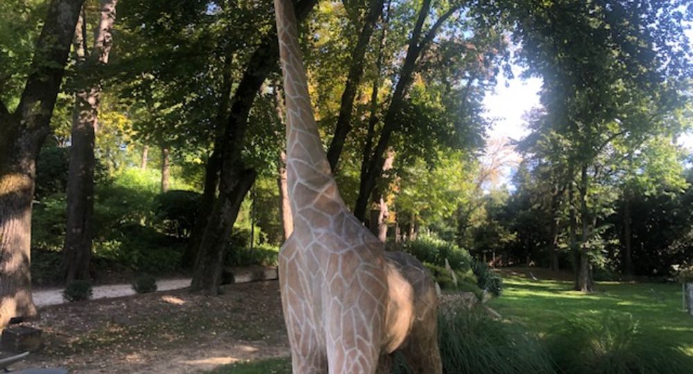 Matinée Yoga Bien-être Enchanteur dans un jardin remarquable