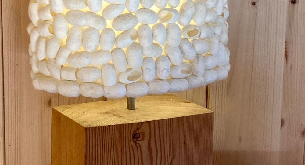 Le Cocon - Le Clarou_Valleraugue