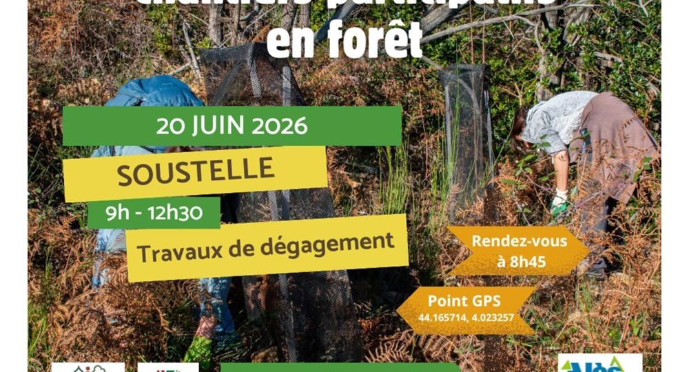 Les chantiers participatifs en forêt font leur grand retour !