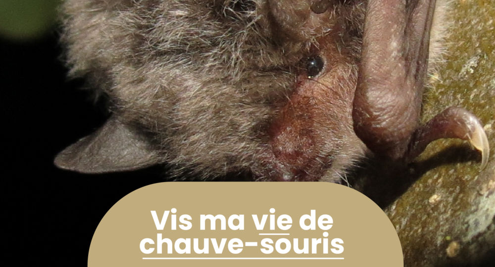 Rendez-vous Nature - Animations et balades gratuites à Poulx