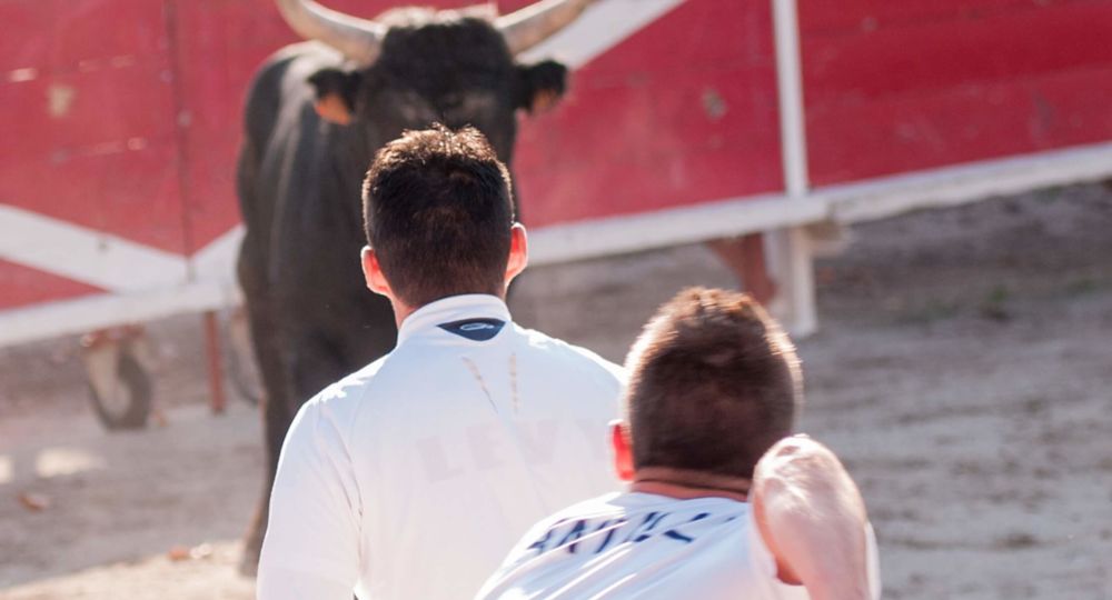 Courses Camarguaises Challenge 2026 de la Terre d'Argence à Beaucaire_Beaucaire