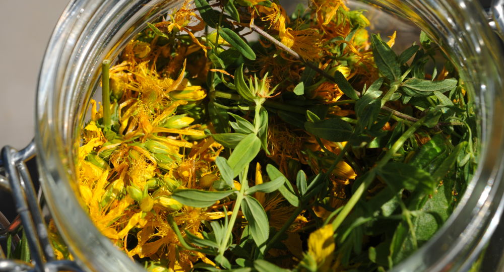 Masterclass cataplasme et potion_Le Vigan