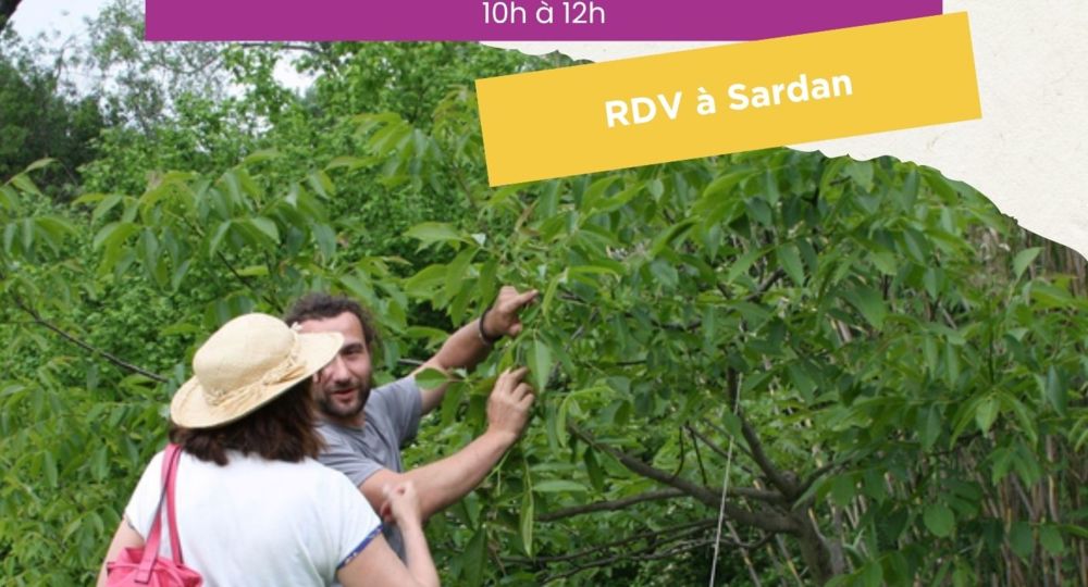 Visite du Jardin_Sardan