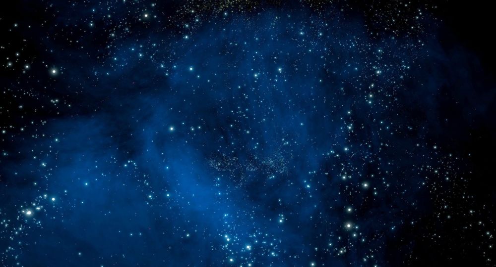 Le jour de la nuit : à la découverte de la biodiversité nocturne