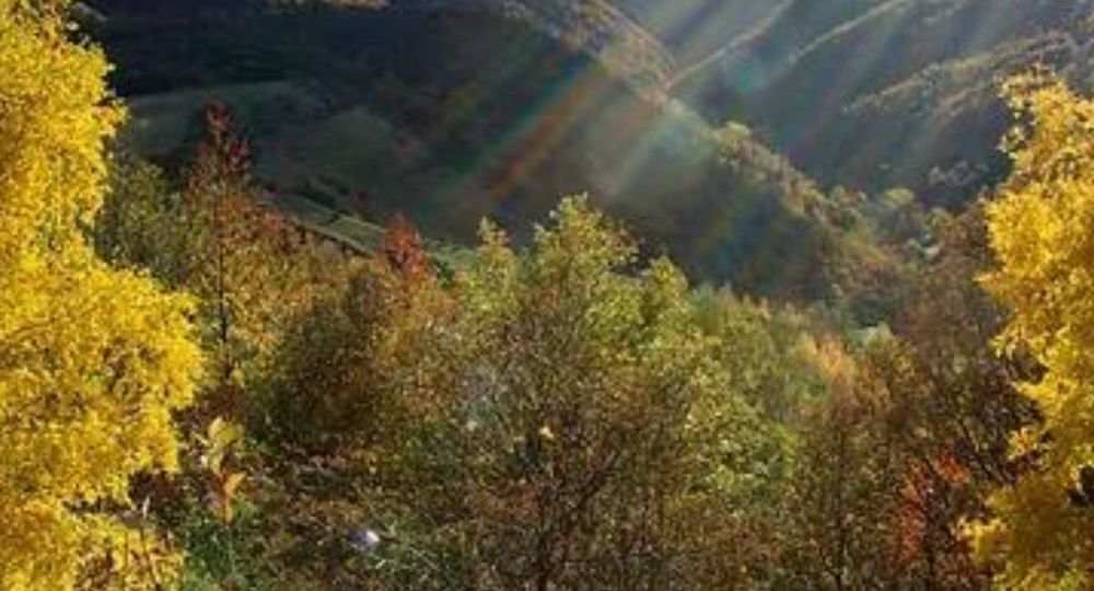 Balade Bota avec Racines de Terriens_Ponteils-et-Brésis