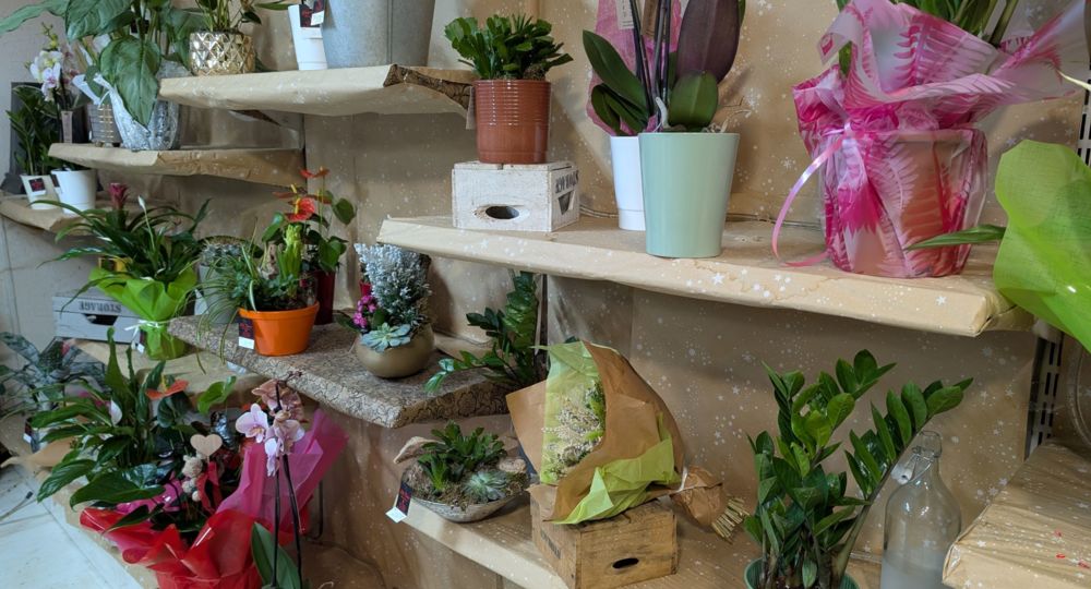 Côté Fleurs_Saint-Ambroix