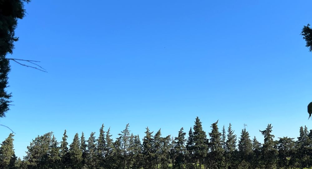 Initiation à la dégustation géosensorielle au Château Mourgues du Grès_Beaucaire