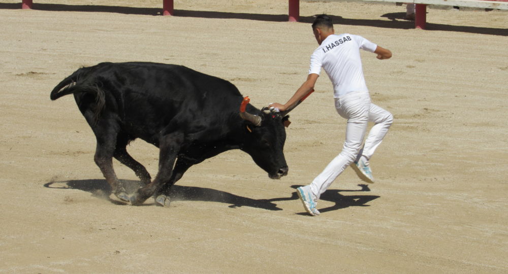 Trophée des Prémices à Vauvert
