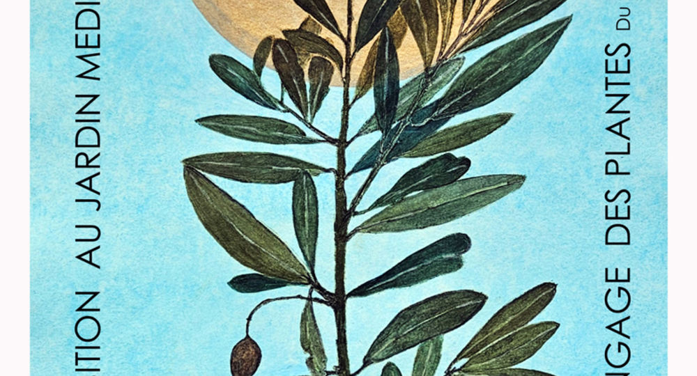 Exposition - Le Langage des Plantes_Uzès