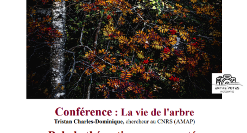 Exposition photos 