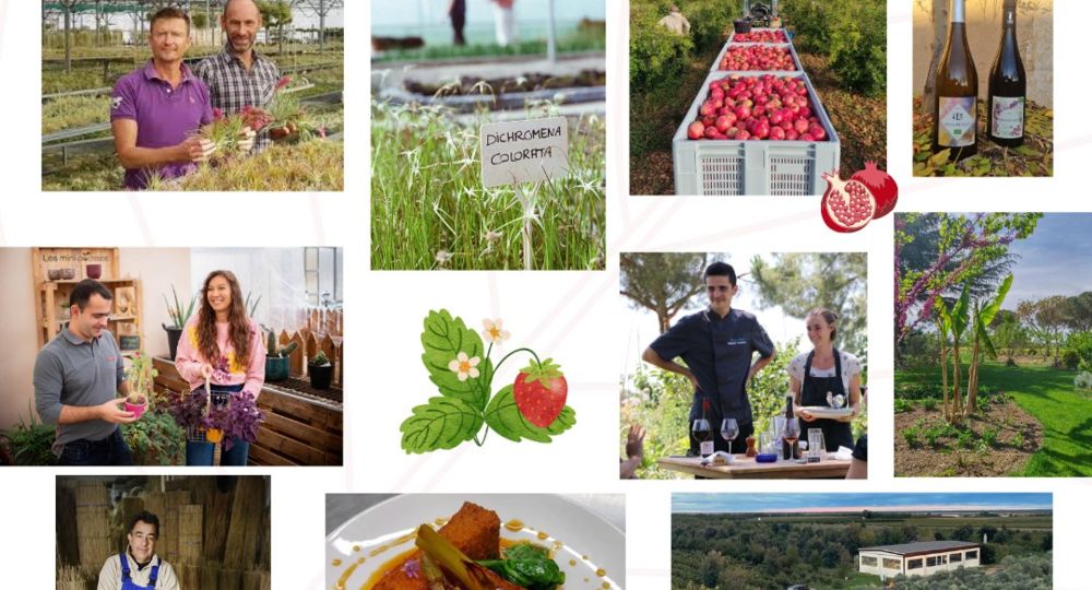 De ferme en ferme en Petite Camargue_Vauvert