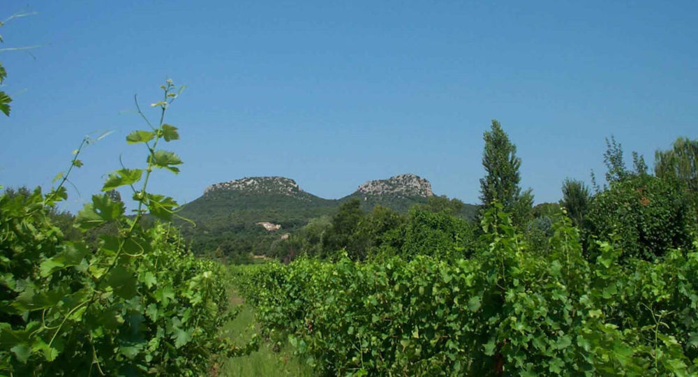 La Montée du Causse_Corconne