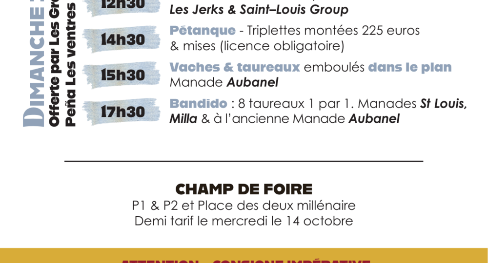 Fête votive d'Aigues-Mortes_Aigues-Mortes
