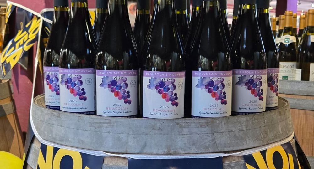 Beaujolais Nouveau à la Maison des Vins_Le Grau-du-Roi