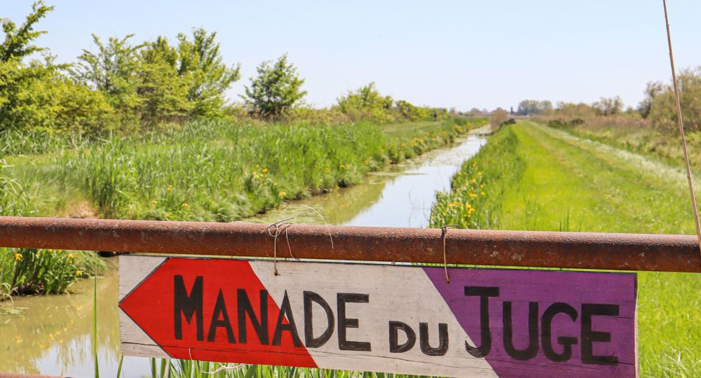 Soirée en Manade, le temps du partage_Bellegarde
