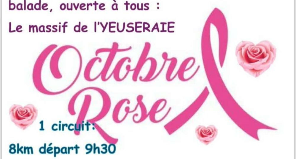 Balade dans le massif de l'Yeuseraie pour Octobre Rose_Lirac