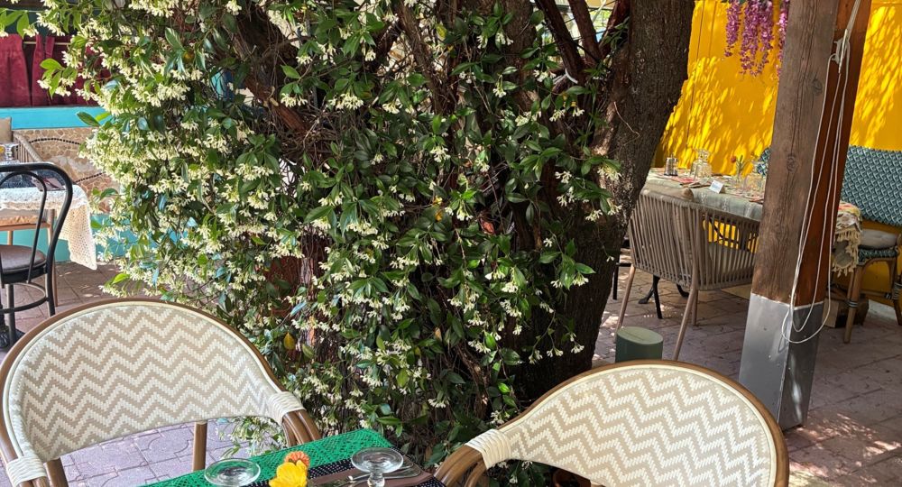 Chez Flore restaurant et traiteur_Les Angles