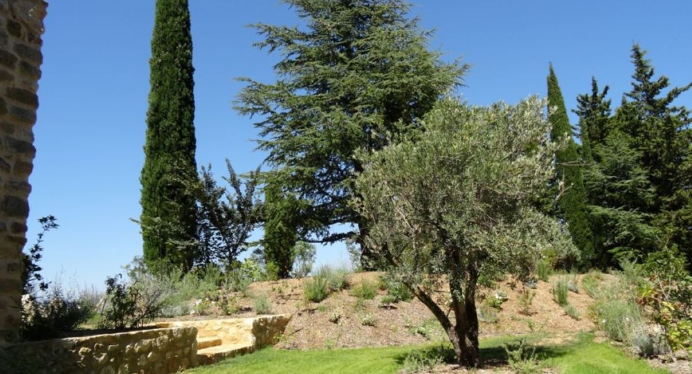 Gîtes Domaine de Gressac : Papou
