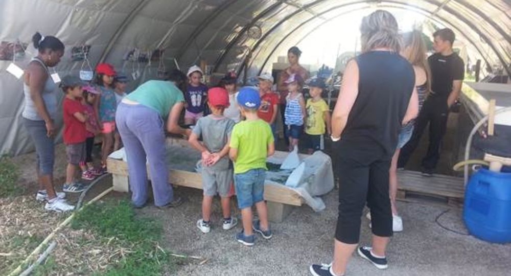 Visite : Spiruline arc-en-ciel_Saint-Christol-lès-Alès