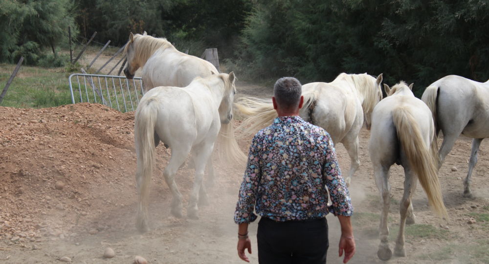 Visite en 4x4 - La Camargue d'Antan_Beauvoisin
