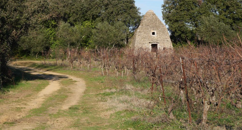 Parcours VTT 1 Uzès - Gorges du Gardon