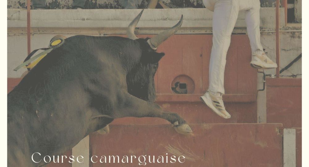 Course camargaise_Remoulins