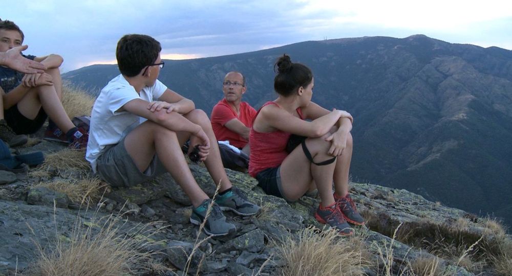Observation du mouflon
