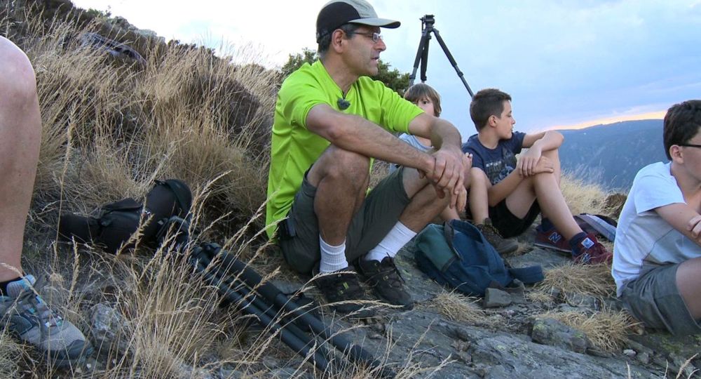 Observation du mouflon