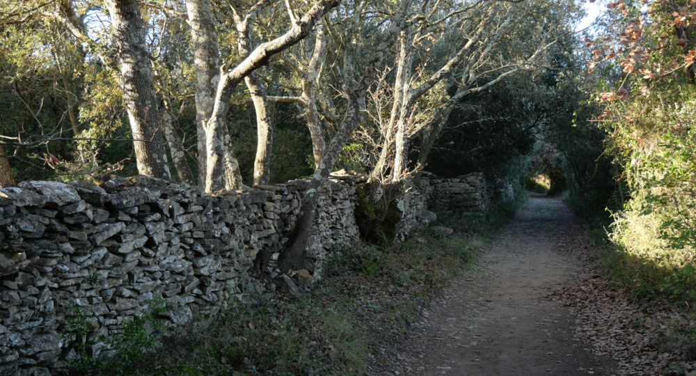 Parcours VTT 1 Uzès - Gorges du Gardon