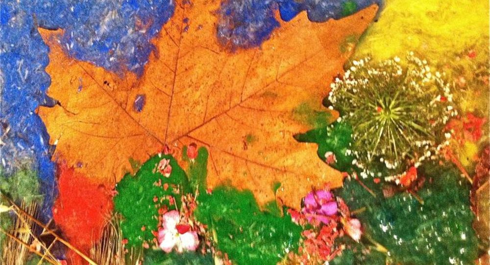 L'Atelier des Plantes_Saint-Hippolyte-du-Fort