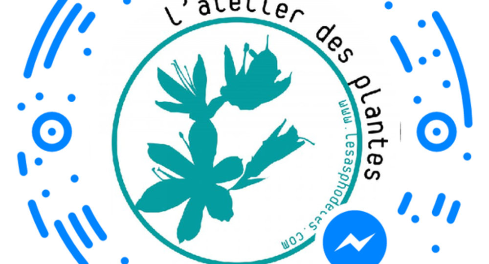 L'Atelier des Plantes_Saint-Hippolyte-du-Fort