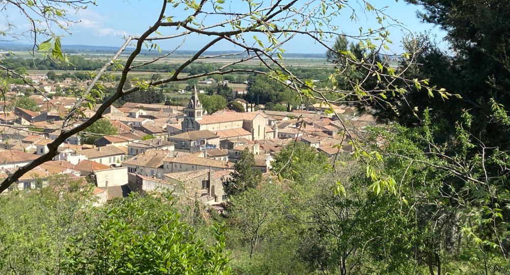 Balade sur le sentier du Mont-Michel_Bellegarde