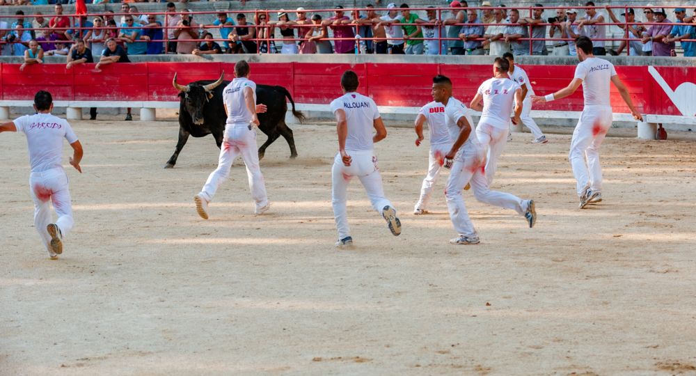 Journée Taurine