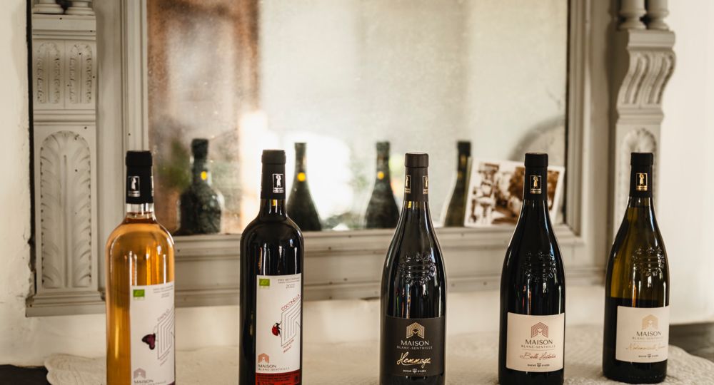 Visite du vignoble & dégustation des vins - Maison Blanc Senthille_Saint-Jean-de-Crieulon