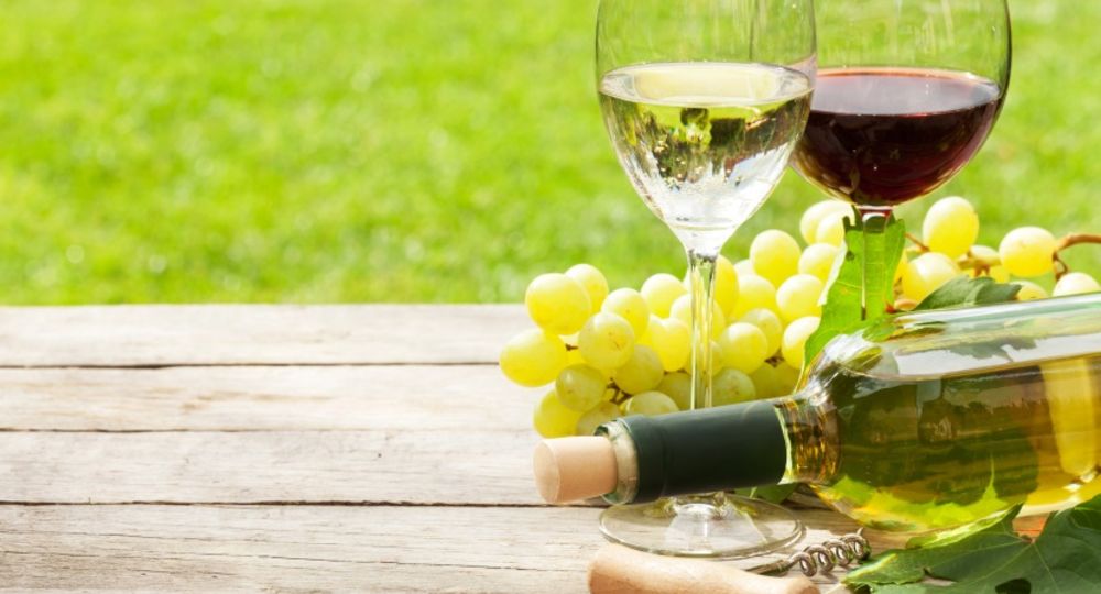 Grande dégustation des vins des terroirs cévenols_Alès