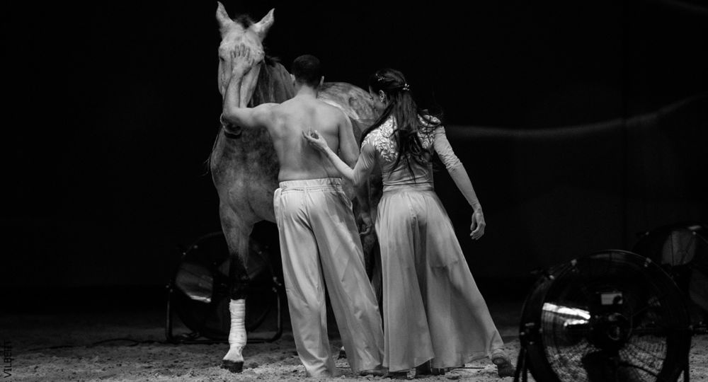 Gala des Crinières d'Or 2025