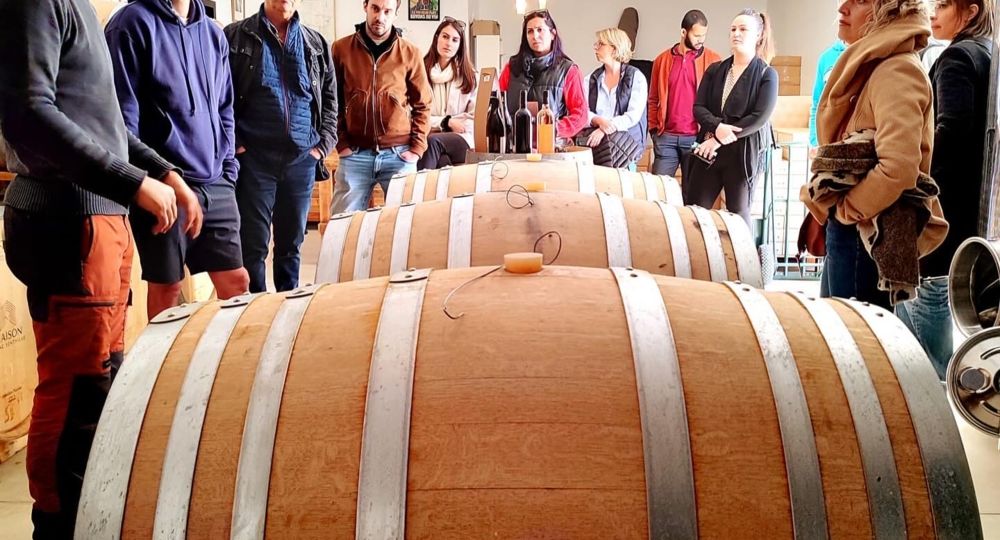 Visite du vignoble & dégustation des vins - Maison Blanc Senthille_Saint-Jean-de-Crieulon