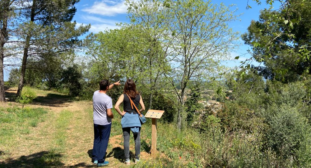 Balade sur le sentier du Mont-Michel_Bellegarde