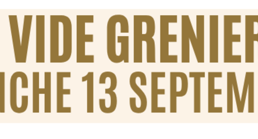 Vide Grenier_Pougnadoresse