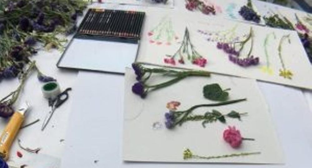 L'Atelier des Plantes_Saint-Hippolyte-du-Fort