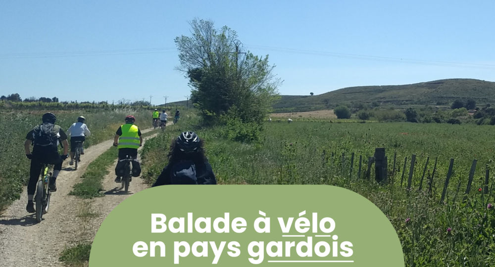 Rendez-vous Nature - Animations et balades gratuites à Générac