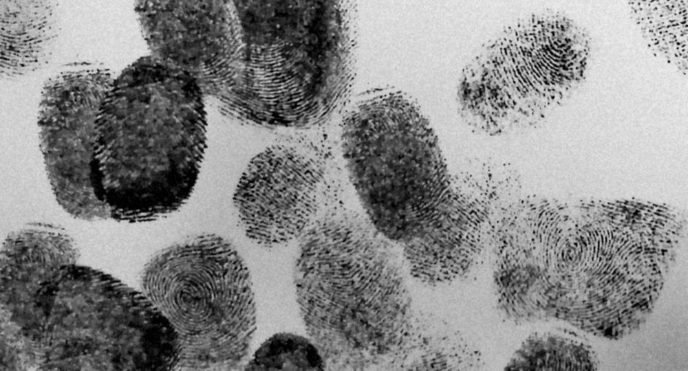 Avril en Cavale : le vol du siècle - Avril en balade 2026