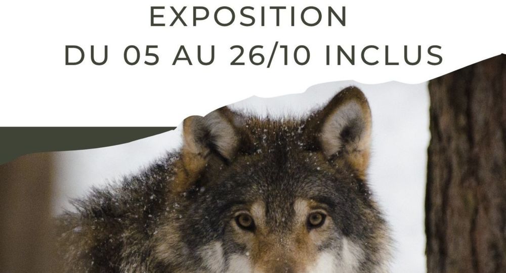Exposition - Sur la Piste du Loup_Meynes