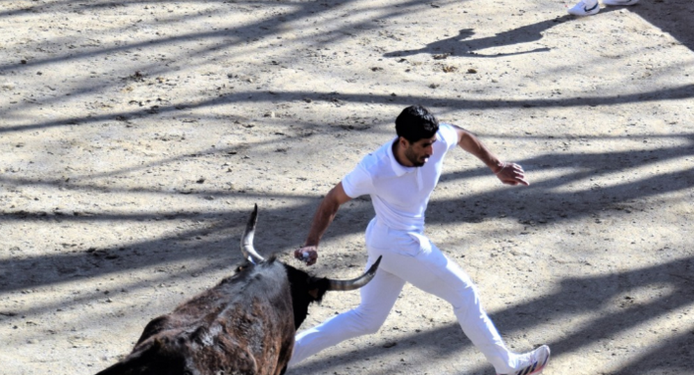 Course camarguaise
