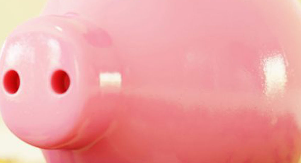 Wikipaloma - Subventionner son projet artistique_Nîmes