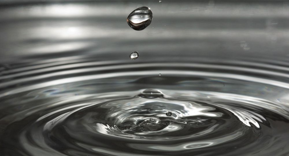 Sortie “ le cycle de l’eau et son abondance”_Méjannes-le-Clap