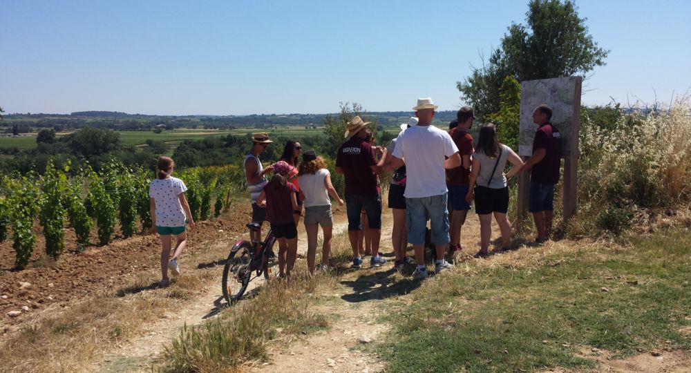 Balade commentée dans le vignoble et dégustation de vins_Bourdic