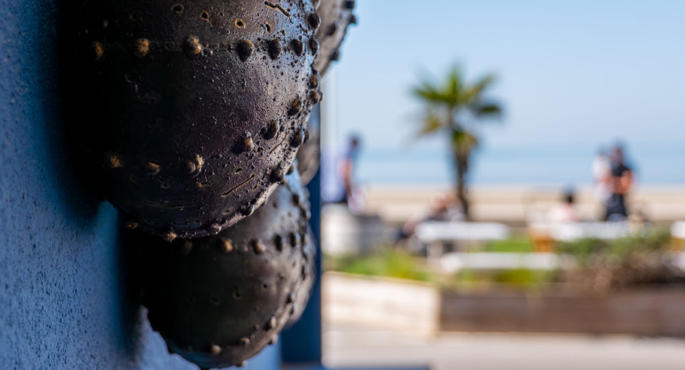 Terrasse Restraurant vue mer