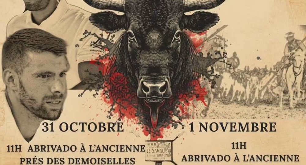Week-end de l'Aficion_Le Cailar