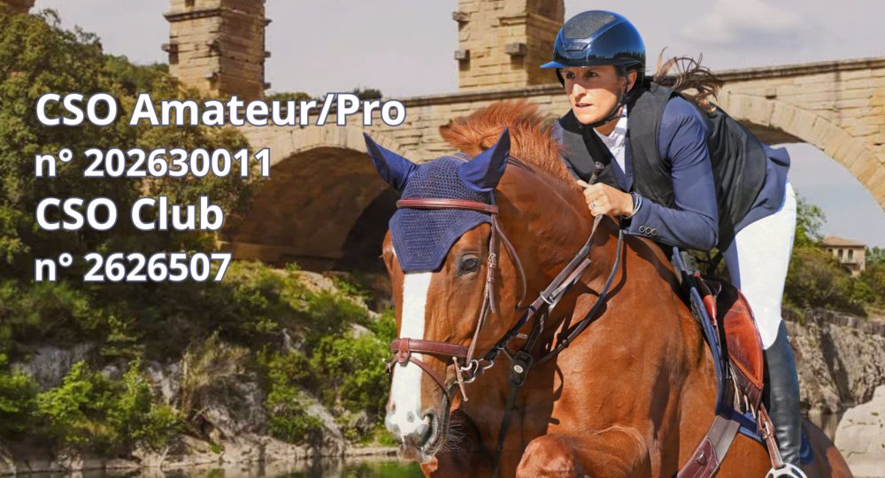 Concours amateurs -professionels de Saut d'Obstacles_Vallabrix